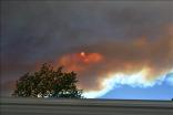 Brush Burns Near Azusa