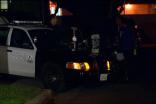 Human Remains Found in Backyard