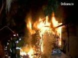 Teen, Dogs Die in LA Home Fire