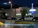 Gang Sweep Leads to Arrests in Studio City