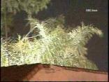 Wind Hits LA County