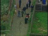 Dane's Death Still a Mystery
