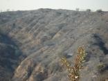 November 208: Viewer Images from SoCal Fires (Part 5)