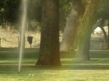 Residential Water Crackdown in Los Angeles