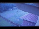 Cameras Catch Home Invasion