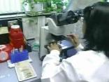 Claremont Student May Have Swine Flu
