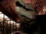 T-Rex Roams Museum Hallways