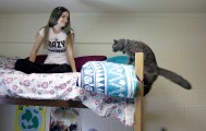 Student Danielle Gervais settles in her room the day before classes begin with her cat, Fuzzy, at Stetson University in DeLand, Fla., Tuesday, Aug. 17, 2010.