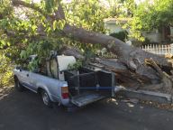 Santa Anas Bring High Fire Danger