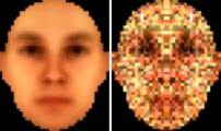 An androgynous base image and an experimental analysis of the same face.