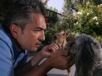 Audition for "The Dog Whisperer"