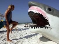 Sharkiest Shark Fun