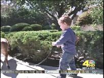 Dog Bites: Kid Training!