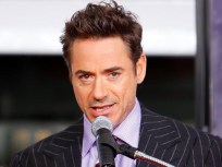 Downey: My Career "Had More Dips Than a French Sandwich Shop"