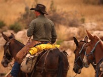 Worth the Drive: Abyss Overlook Mule Ride
