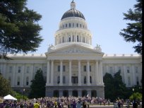 Five in Race to Replace Disgraced Assembly Member