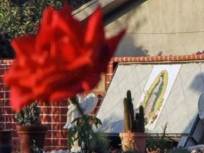 Bishop Shot After Confronting Teens Outside Church