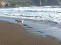 California Coast Under Tsunami Watch