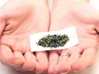 Joint Session: City Talks Pot Ordinance