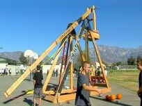 Retired Pumpkins Launched Out to Pasture