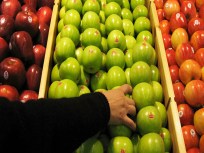 Apple Moths Prompt Plant, Fruit Quarantine