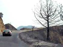 Wildfire's Path: View From Angeles Crest Highway