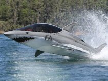 Need a Bigger Boat