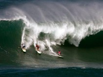 OC Man Surfs Into 1st Place at Waimea Big-Wave Contest