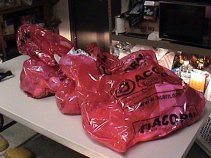 ACORN Docs Pulled from Dumpster