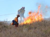 November 2008: Viewer Images from SoCal Fires