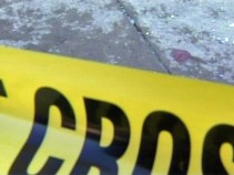Willowbrook Hit and Run Kills Two Girls, Woman
