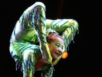Last-Minute Weekend: Acrobats & Anime, Crafts & Craft...