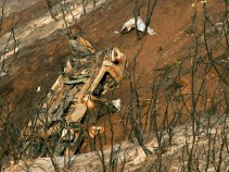 Firefighters Died During Search for Escape Route
