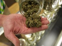 Council Sets Medical Marijuana Dispensary Cap at 70