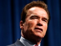 New Low Point for Arnold