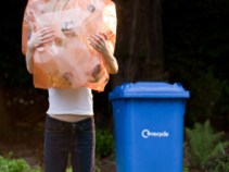 City Turning Green Over Blue Recycle Bins