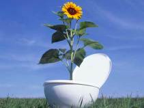 Not in Kern County's Backyard