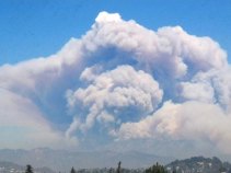 Watch KNBC News Live