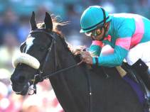 Cheers for Zenyatta, Boos for Governor