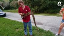 Man Hears Noises For Years, Finds Boa Constrictor in Attic
