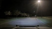 The Buck Stops Here: Feuding Deer Caught on Camera