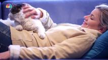 Do Cats Actually Love Their Humans?
