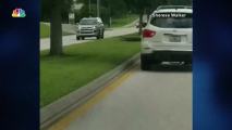 Gator Crosses Busy Florida Street