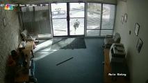 Goat Rams Through Glass Door of Colo. Business