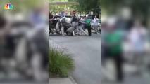 ‘T-Rex’ Spooks Horses on City Street