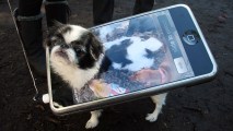 In this file photo, Bon the dog poses as an iPhone during the 17th annual Tompkins Square Halloween Dog Parade October 28, 2007 in New York City.