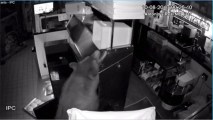 Mama Bear and Cubs Break Into Pizzeria