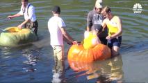 Watch a Giant Pumpkin Regatta