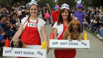 A pair of happy hot dogs made the scene at the beloved parade on Oct. 29, 2017.