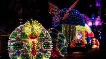 Jittering insects light up the parade route in beautiful, bright colors during the Main Street Electrical Parade at Disneyland park. The Main Street Electrical Parade will run for a limited-time, through Aug. 20, 2017, at Disneyland. (Scott Brinegar/Disneyland)